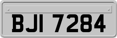 BJI7284
