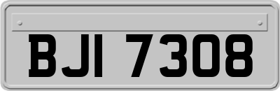 BJI7308