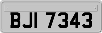 BJI7343