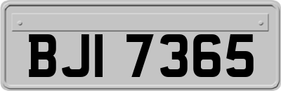 BJI7365