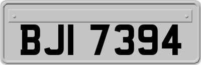 BJI7394
