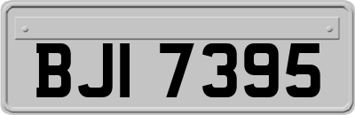 BJI7395