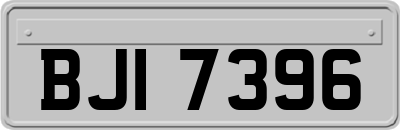 BJI7396
