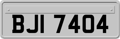 BJI7404