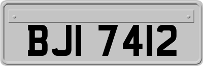 BJI7412
