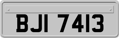 BJI7413