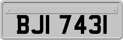 BJI7431