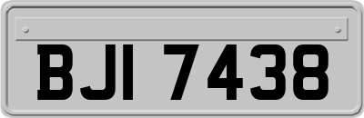 BJI7438