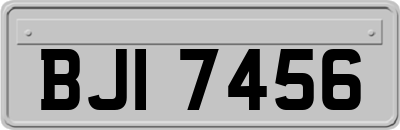 BJI7456