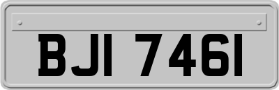 BJI7461