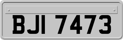 BJI7473