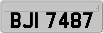 BJI7487