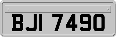 BJI7490