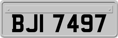 BJI7497