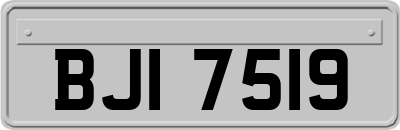 BJI7519