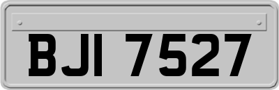 BJI7527