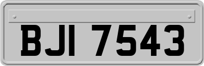 BJI7543