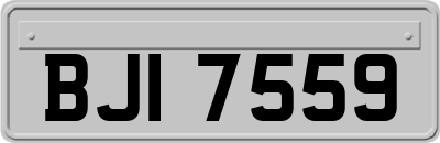 BJI7559