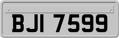 BJI7599