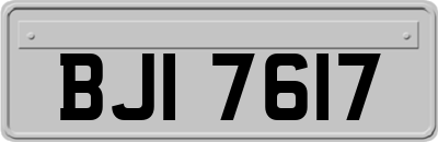 BJI7617