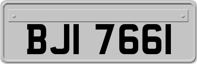 BJI7661