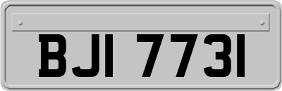 BJI7731