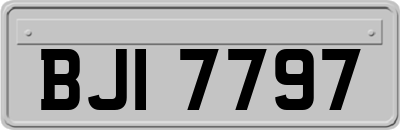 BJI7797