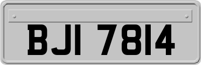BJI7814