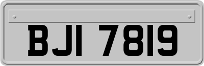 BJI7819