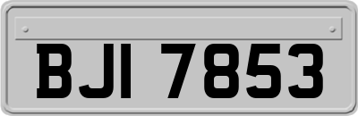 BJI7853