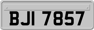 BJI7857