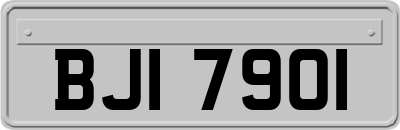 BJI7901