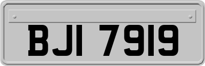 BJI7919