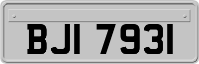 BJI7931
