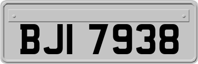 BJI7938