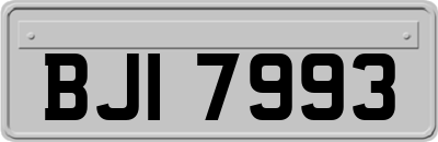 BJI7993