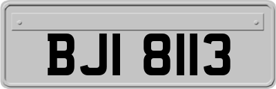 BJI8113