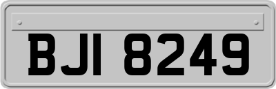 BJI8249