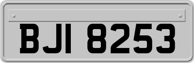 BJI8253