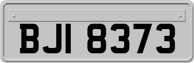 BJI8373