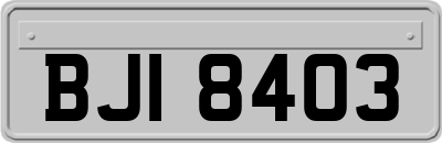 BJI8403