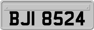 BJI8524