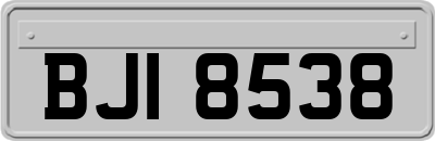 BJI8538