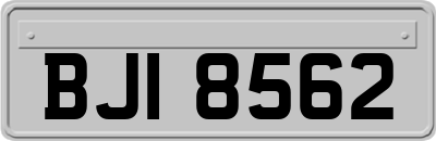 BJI8562