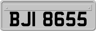 BJI8655