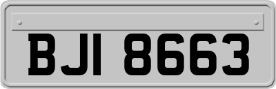 BJI8663