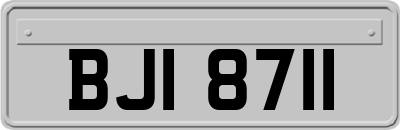 BJI8711