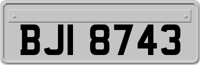 BJI8743