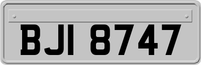 BJI8747