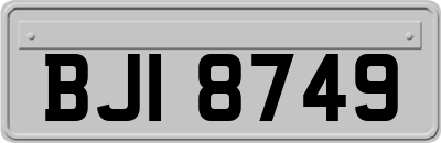 BJI8749